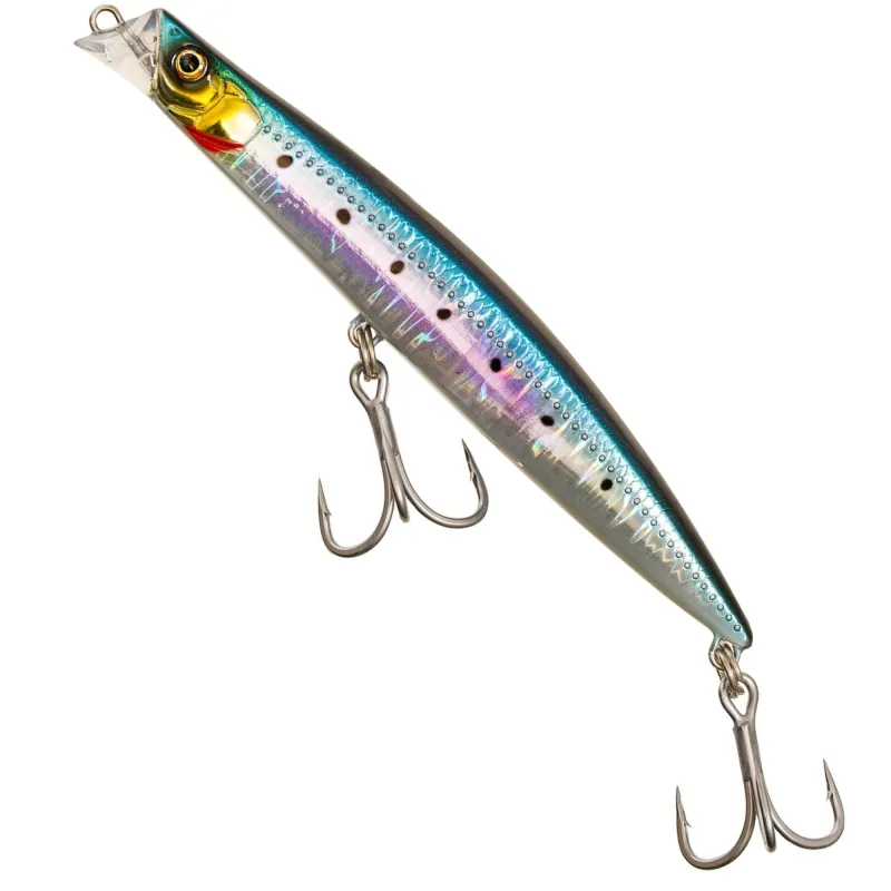 Sardine