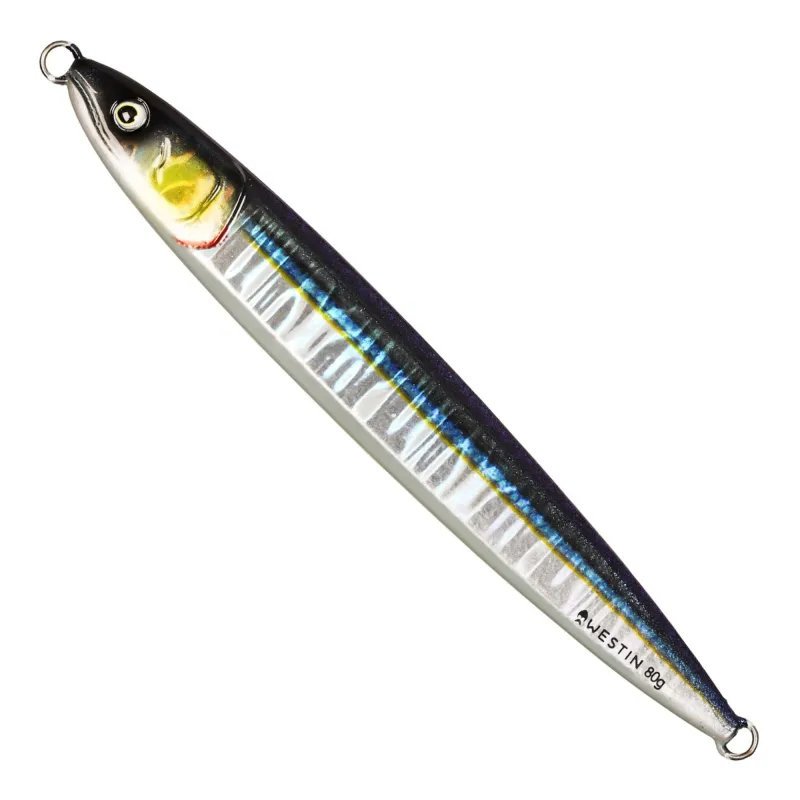 Coastal Baitfish
