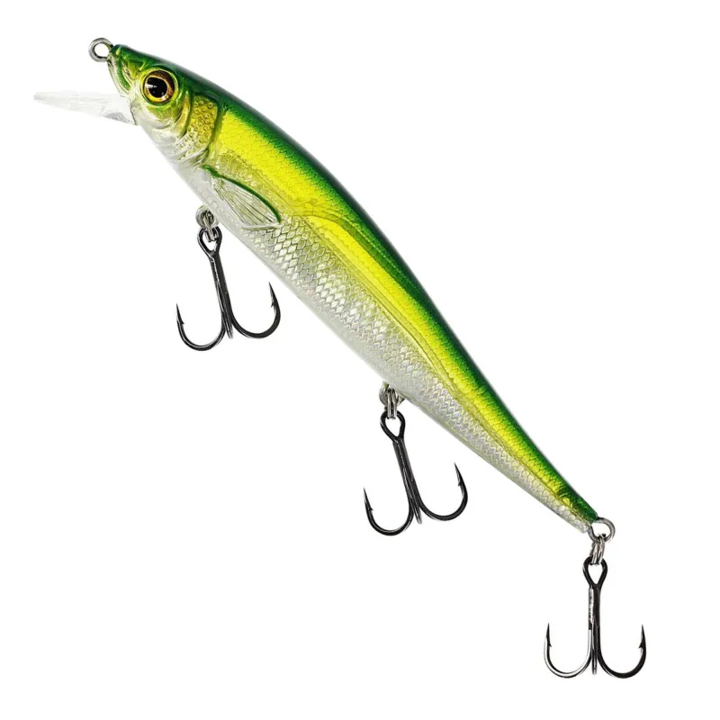 Olive Minnow