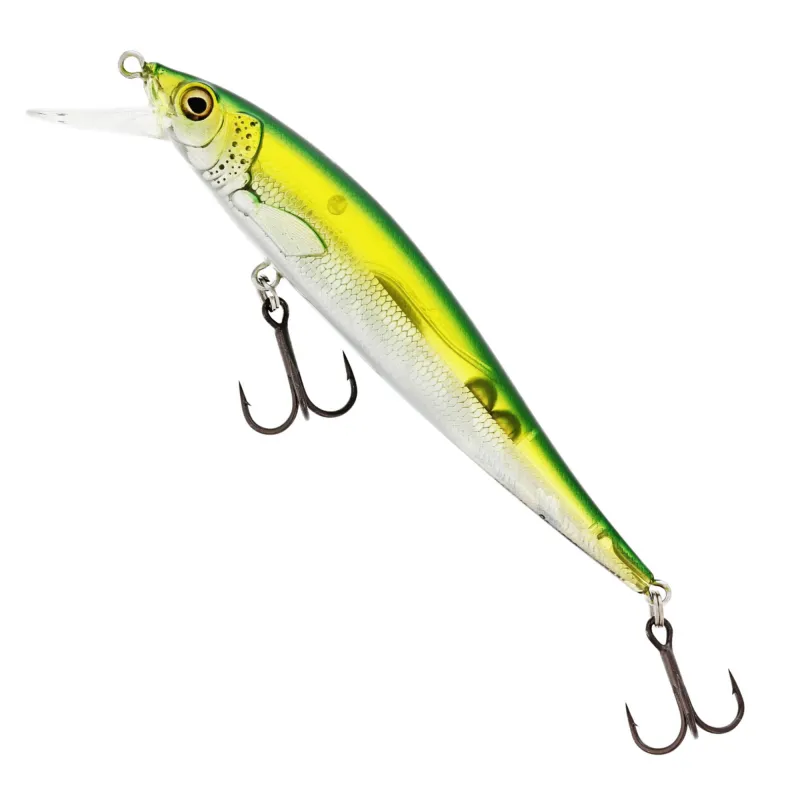 Olive Minnow