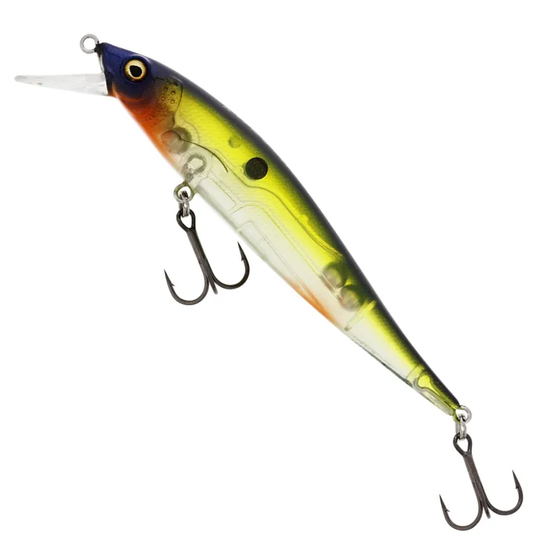 Hot Shad