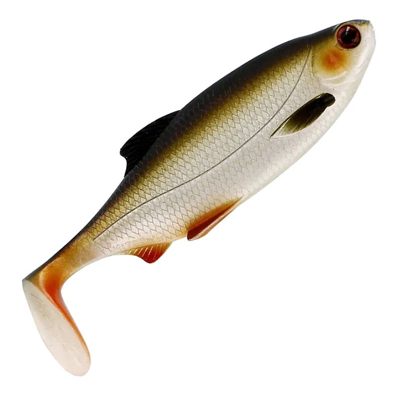 Lively Roach