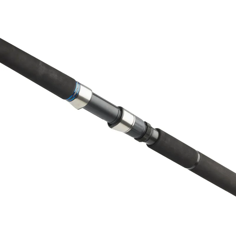 Westin W2 Rockshore Apex Predator 290cm - 20-80g - M - 1 Stück