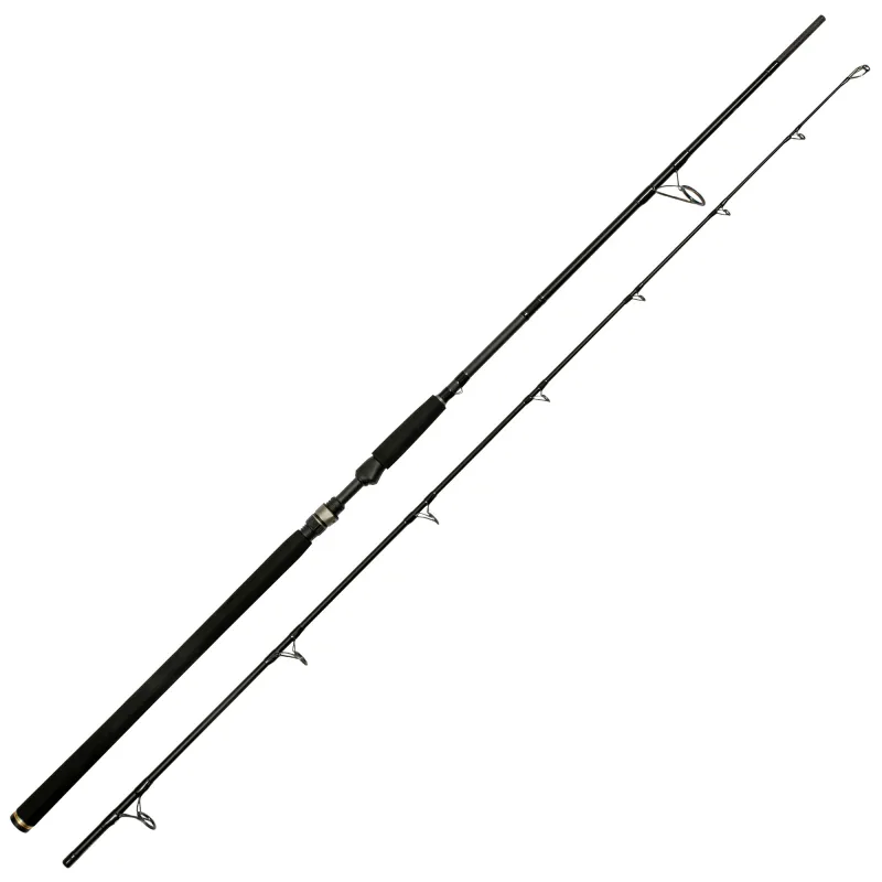 Westin W3 Powercast 2nd 248cm - 20-80g - 2tlg - 202g - XH