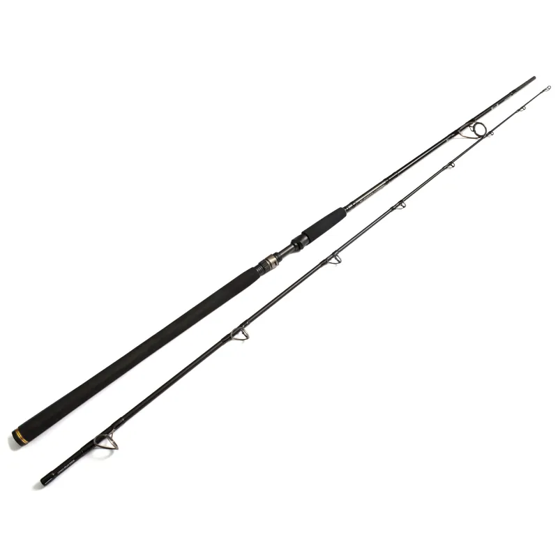 Westin W3 Powercast 2nd 248cm - 20-80g - 2tlg - 202g - XH