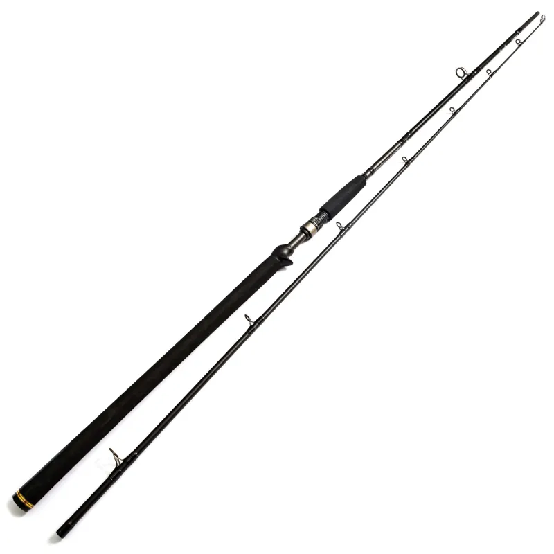 Westin W3 Powercast - T 2nd 248cm - 20-80g - 2tlg - 195g - XH