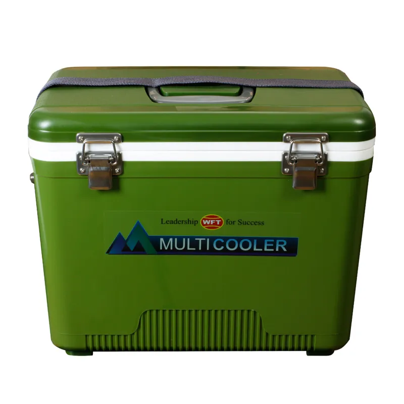 WFT Multicooler 12L green 38x25x27cm - grün