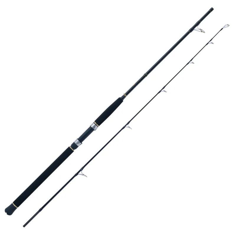 WFT Sea Dart Special Fjord 2,1m - 50-420g - 2tlg - 340g